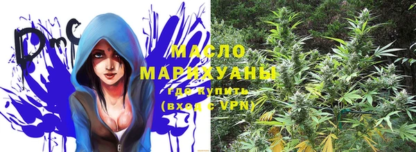 молекула духа Балахна