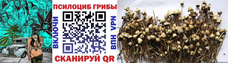 Псилоцибиновые грибы мицелий купить наркотики сайты Афипский